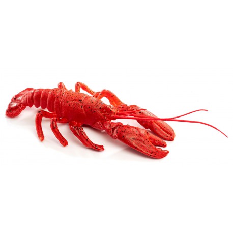 Homard