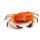 Crabe